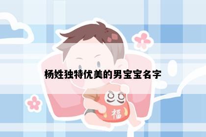 杨姓独特优美的男宝宝名字